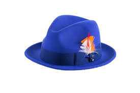 Men Fashion Hat-Trilby Royal - Church Suits For Less